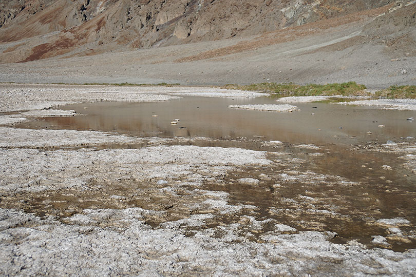 Water in the normally dry Badwater Basin.