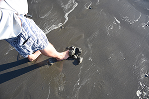Black Sand on the beach of Olympic National Park