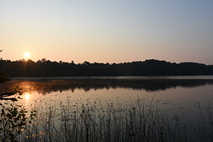 Beautiful sunrise in Mosquito Infested Minnesota